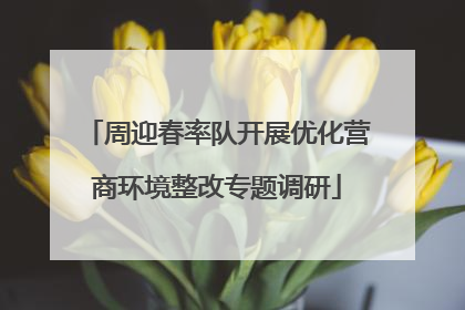 周迎春率队开展优化营商环境整改专题调研