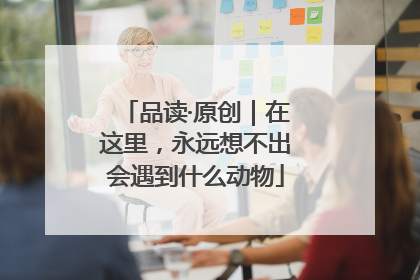 品读·原创｜在这里，永远想不出会遇到什么动物