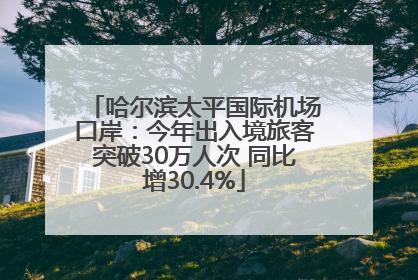 哈尔滨太平国际机场口岸：今年出入境旅客突破30万人次 同比增30.4%