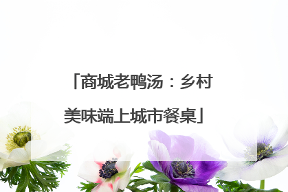商城老鸭汤：乡村美味端上城市餐桌