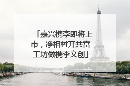 嘉兴槜李即将上市，净相村开共富工坊做槜李文创