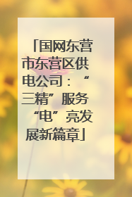 国网东营市东营区供电公司：“三精”服务“电”亮发展新篇章