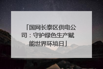 国网长泰区供电公司：守护绿色生产赋能世界环境日