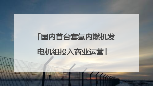 国内首台套氢内燃机发电机组投入商业运营