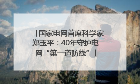 国家电网首席科学家郑玉平：40年守护电网“第一道防线”