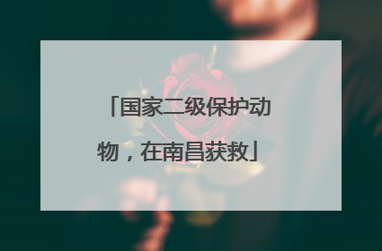 国家二级保护动物，在南昌获救