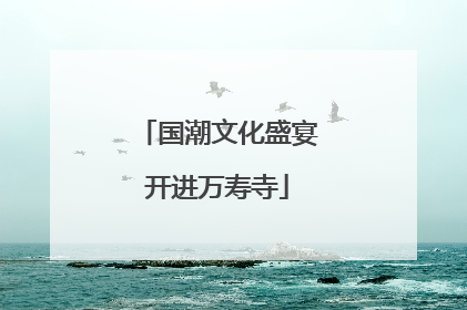 国潮文化盛宴开进万寿寺