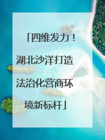 四维发力！湖北沙洋打造法治化营商环境新标杆