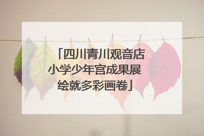 四川青川观音店小学少年宫成果展绘就多彩画卷
