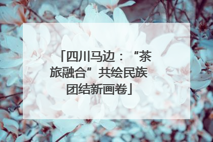 四川马边：“茶旅融合”共绘民族团结新画卷