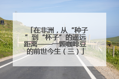 在非洲，从“种子”到“杯子”的遥远距离——一颗咖啡豆的前世今生（三）