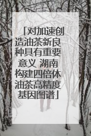 对加速创造油茶新良种具有重要意义 湖南构建四倍体油茶高精度基因图谱