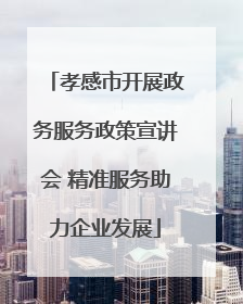孝感市开展政务服务政策宣讲会 精准服务助力企业发展