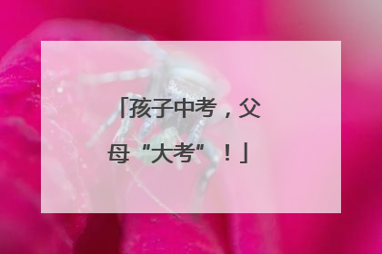 孩子中考，父母“大考”！