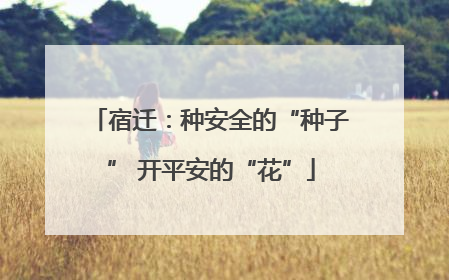 宿迁：种安全的“种子” 开平安的“花”