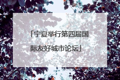 宁夏举行第四届国际友好城市论坛