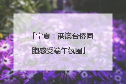 宁夏：港澳台侨同胞感受端午氛围