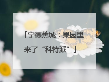 宁德蕉城：果园里来了“科特派”