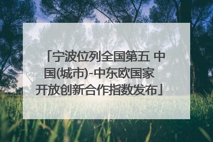 宁波位列全国第五 中国(城市)-中东欧国家开放创新合作指数发布