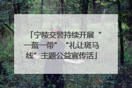 宁陵交警持续开展“一盔一带”“礼让斑马线”主题公益宣传活