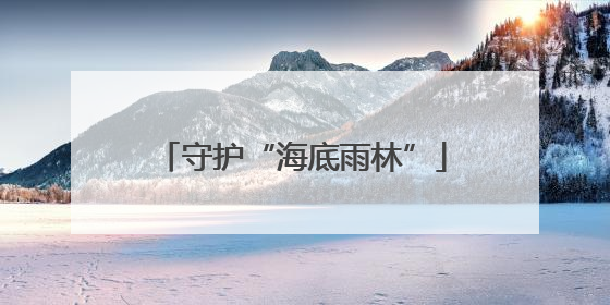 守护“海底雨林”