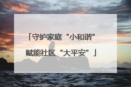 守护家庭“小和谐” 赋能社区“大平安”
