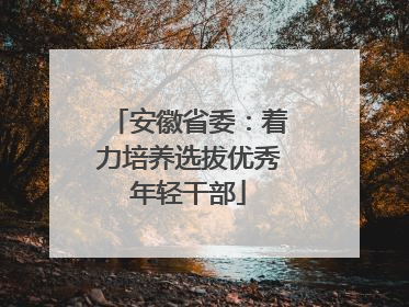安徽省委：着力培养选拔优秀年轻干部