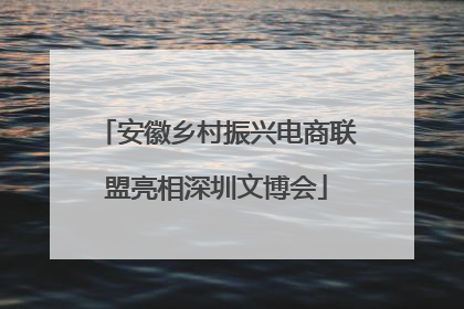安徽乡村振兴电商联盟亮相深圳文博会