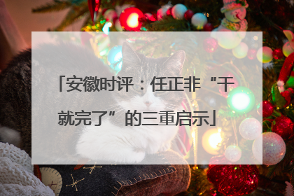 安徽时评：任正非“干就完了”的三重启示
