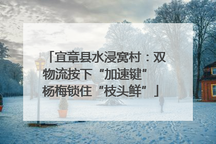宜章县水浸窝村：双物流按下“加速键” 杨梅锁住“枝头鲜”