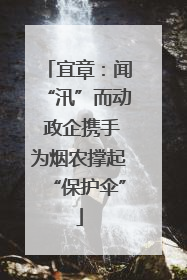 宜章：闻“汛”而动 政企携手为烟农撑起“保护伞”
