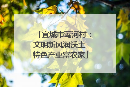 宜城市莺河村：文明新风润沃土 特色产业富农家