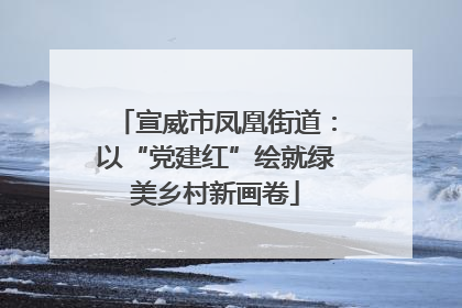 宣威市凤凰街道：以“党建红”绘就绿美乡村新画卷