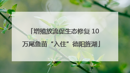 增殖放流促生态修复 10万尾鱼苗“入住”德阳旌湖