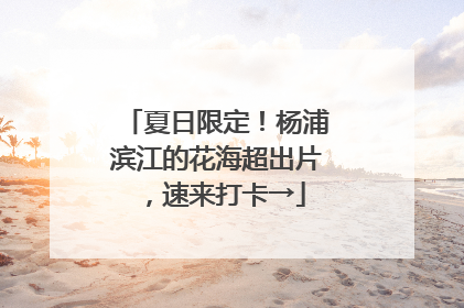夏日限定！杨浦滨江的花海超出片，速来打卡→