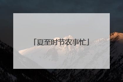 夏至时节农事忙