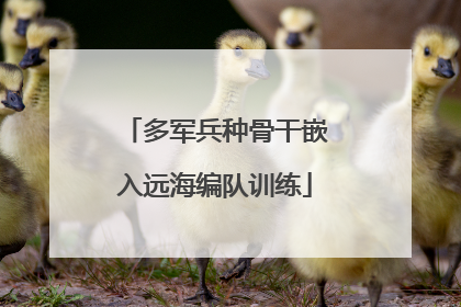 多军兵种骨干嵌入远海编队训练