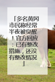 多名黄冈市民称经常半夜被臭醒！官方回应：已有整改措施，还没有整改情况