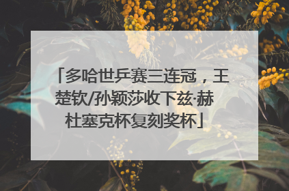 多哈世乒赛三连冠，王楚钦/孙颖莎收下兹·赫杜塞克杯复刻奖杯