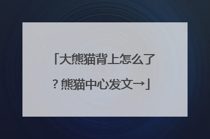 大熊猫背上怎么了？熊猫中心发文→