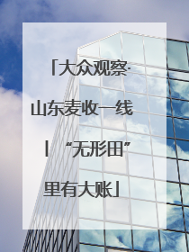 大众观察·山东麦收一线丨“无形田”里有大账