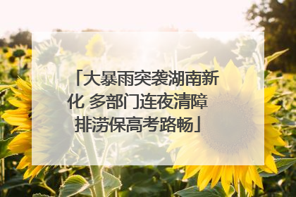 大暴雨突袭湖南新化 多部门连夜清障排涝保高考路畅