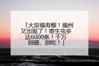 大量福寿螺！福州又出现了！寄生虫多达6000条！千万别碰、别吃！