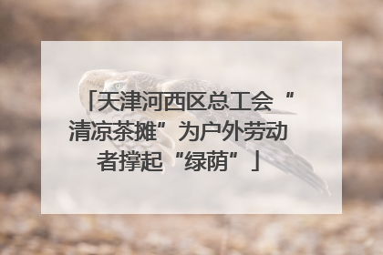 天津河西区总工会“清凉茶摊”为户外劳动者撑起“绿荫”