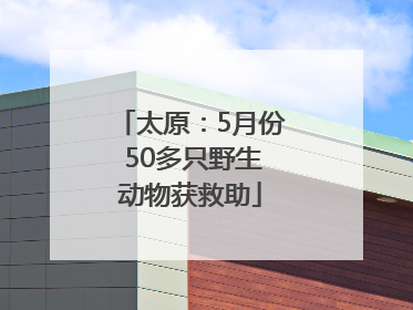 太原:5月份 50多只野生动物获救助