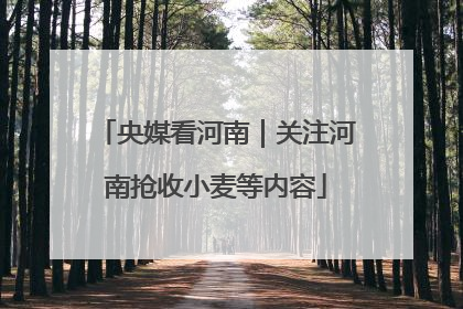 央媒看河南｜关注河南抢收小麦等内容