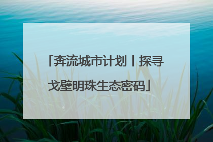 奔流城市计划丨探寻戈壁明珠生态密码
