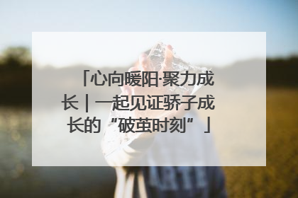 心向暖阳·聚力成长｜一起见证骄子成长的“破茧时刻”