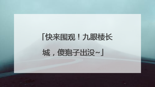 快来围观！九眼楼长城，傻狍子出没~