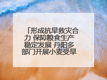 形成抗旱救灾合力 保障粮食生产稳定发展 丹阳多部门开展小麦受旱情况调研